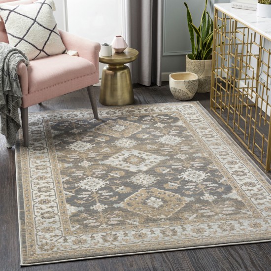 Surya Dryden Charcoal Rug 9' X 12'