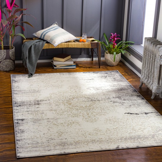 Surya Dublin Cream Rug 2' X 3'