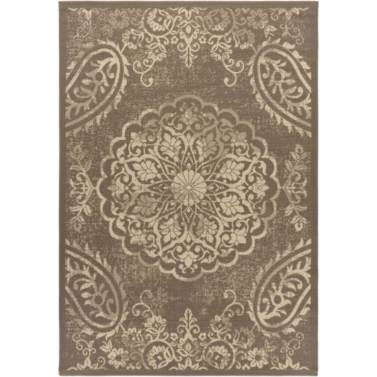 Surya Eagean Dark Brown Rug 8'10" X 12'