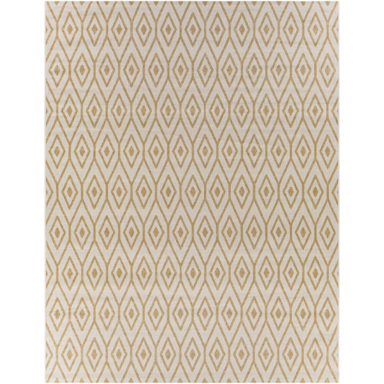 Surya Eagean Tan Rug 7'10" X 10'2"