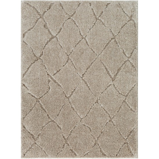 Surya Elenor Enr-2300 Tan Rug 5'3" X 7'3"