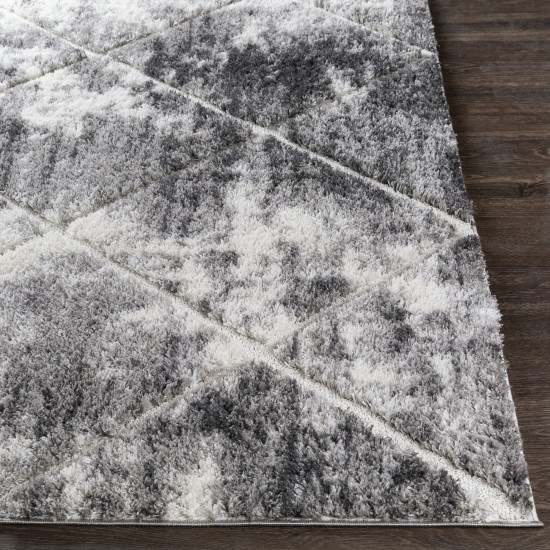 Surya Elenor Enr-2319 Cream Rug 6'7" X 9'