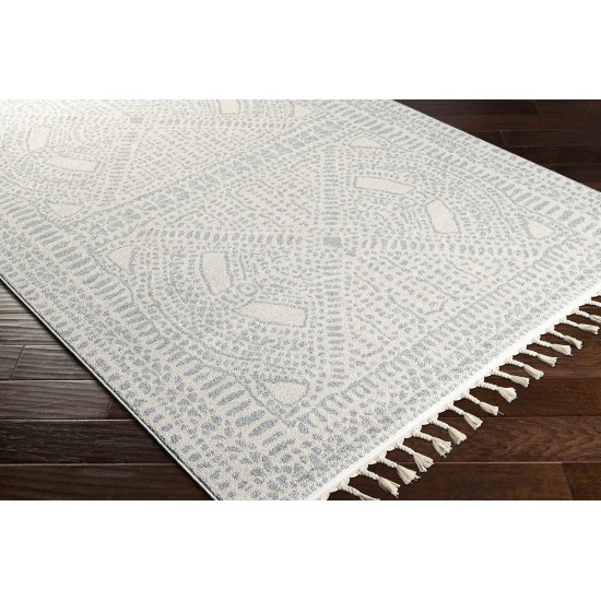 Surya Euphoria Medium Gray Rug 5'3" X 7'3"