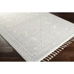 Surya Euphoria Erp-2307 Medium Gray Rug 6'7" X 9'