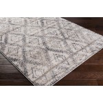 Surya Flokati Fkt-2300 Gray Rug 1'11" X 2'11"