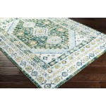 Surya Floransa Fsa-2351 Medium Green Rug 9' X 12'3"