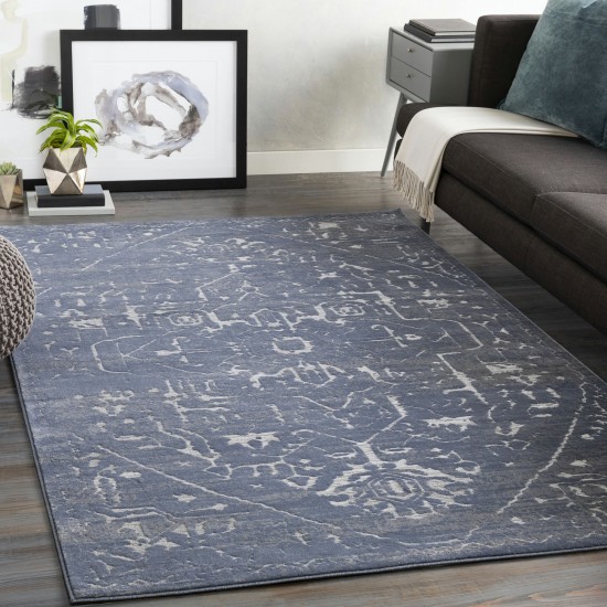 Surya Florence Fro-2306 Denim Rug 9' X 12'4"