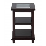Panama Brown Contemporary Wood and Glass Small End Table