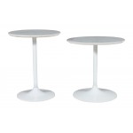 Camille Solid Marble and Iron Modern Luxury Accent Tables (Set of 2) - White