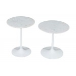 Camille Solid Marble and Iron Modern Luxury Accent Tables (Set of 2) - White