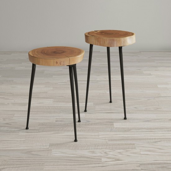 Global Archive Flat-Pack Wood and Iron Accent Tables (Set of 2)