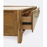 Eloquence Contemporary Modern Queen Size Bed with Storage Drawers - Natural