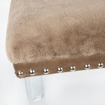 Brianna Modern Luxury Faux Fur Upholstered Bench with Clear Legs - Mink