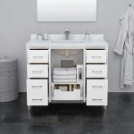 Amici 42 Inch Bathroom Vanity, Cultured Marble Countertop, Brushed Nickel Trim