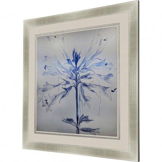 Paragon Sheer Beauty I