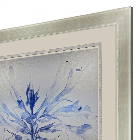 Paragon Sheer Beauty I