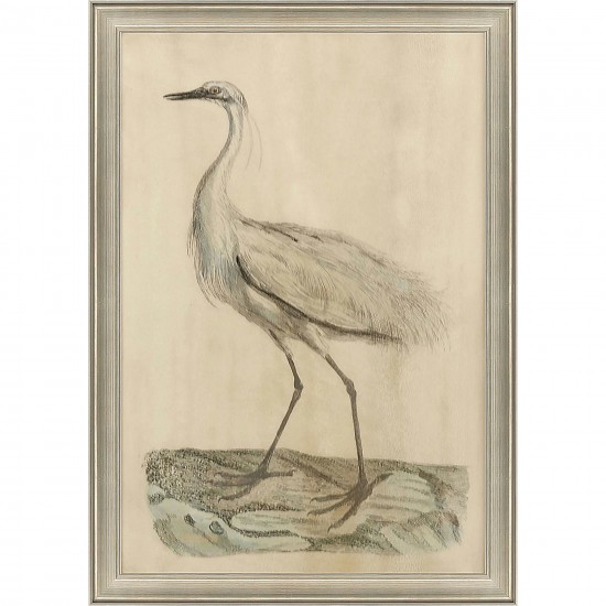 Paragon White Egret