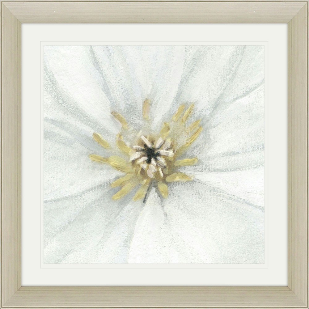 Paragon Floral Fresh - Focus Paragon Floral Fresh - Focus