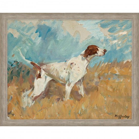 Paragon English Setter on Watch