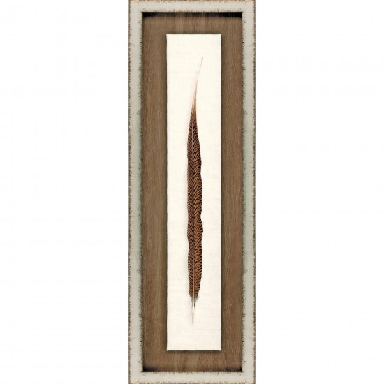 Paragon Pheasant Feather