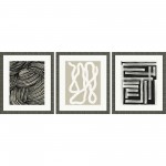 Paragon Naive Lines IV S/3