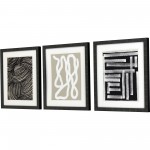 Paragon Naive Lines IV S/3