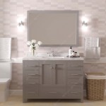 Caroline Avenue 48" Bath Vanity in Gray, Quartz Top, Sink, GS-50048-CMSQ-CG-002
