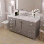Caroline Avenue 60" Bath Vanity in Gray, Quartz Top, Sink, GS-50060-CMSQ-CG-001