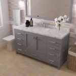 Caroline Avenue 60" Bath Vanity in Gray, Quartz Top, Sink, GS-50060-CMSQ-GR