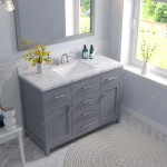 Caroline 48" Single Bath Vanity in Gray, Quartz Top, Sink, MS-2048-CMSQ-GR