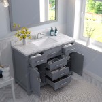 Caroline 48" Single Bath Vanity in Gray, Quartz Top, Sink, MS-2048-CMSQ-GR-002