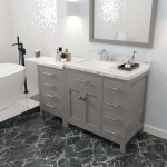 Caroline Parkway 57" Bath Vanity in Gray, Quartz Top, Sink, MS-2157R-CMSQ-CG-001