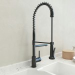 Maggiore 2.0 Dual-Spout Professional Kitchen Faucet in Matte Black