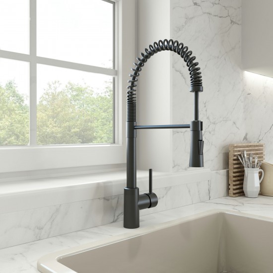 Livenza 2.0 Pull-Down Kitchen Faucet in Matte Black