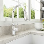 Belsena 2.0 Pull-Down Kitchen Faucet in Stainless Steel