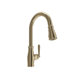 Belsena 2.0 Pull-Down Kitchen Faucet in Brushed Gold