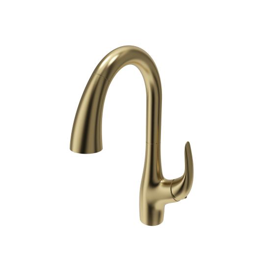 Pagano 2.0 Pull-Down Kitchen Faucet in Brushed Gold