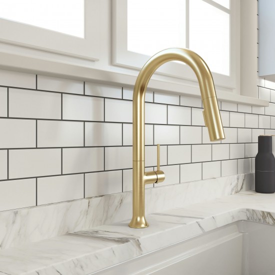 Tronto 2.0 Pull-Down Kitchen Faucet in Brushed Gold
