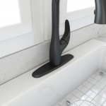 Traditional Kitchen Faucet Deck Plate Oval Matte Black