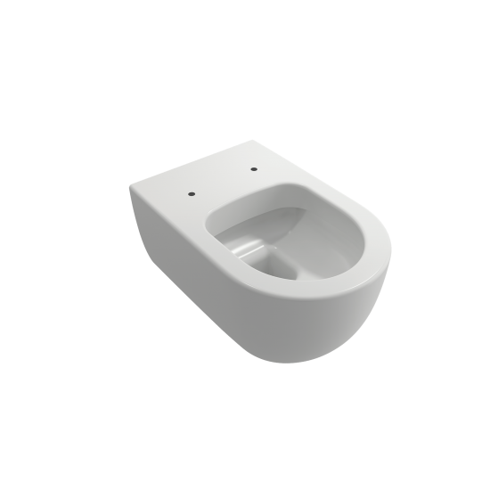 Vettore Wall-Hung Toilet Bowl in Matte White