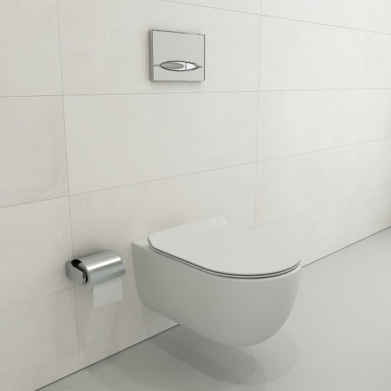 Vettore Soft-Close Toilet Seat in Matte White