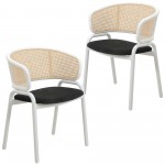 Leisuremod Ervilla Modern Dining Chair with Steel Legs, Set of 2, Black