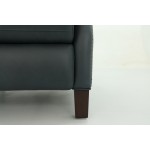 9PH-1387 Charlotte Power Recliner w/Power Head Rest