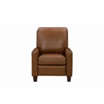 7-1540 Fairview Push Thru The Arms Recliner
