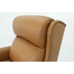 9PHL-3682 Philadelphia Power Recliner w/Power Head Rest & Power Lumbar