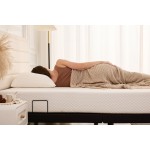MLILY MS600 Adjustable Base Queen