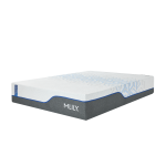 MLILY ChiroPro 1.0 13" Firm Full