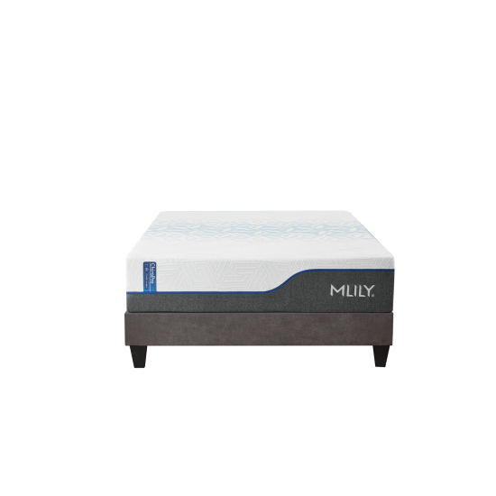 MLILY ChiroPro 1.0 13" Firm King
