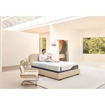 MLILY ChiroPro 1.0 13" Firm King