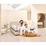 MLILY ChiroPro 3.0 13" Plush Twin XL